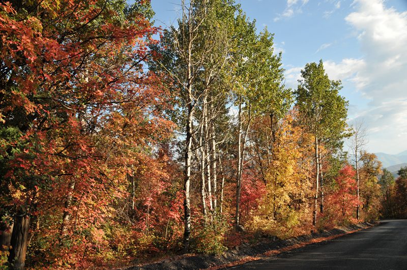 Fall in Park City