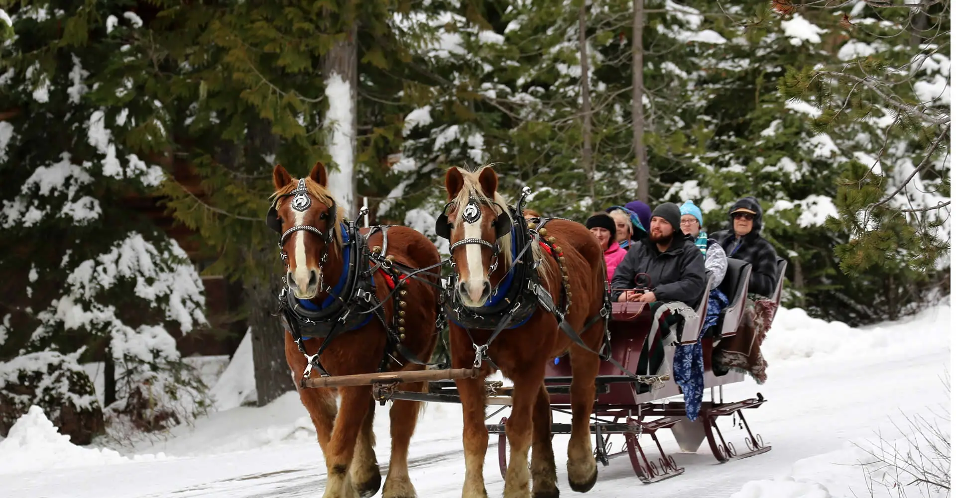 Sleigh-Rides-1