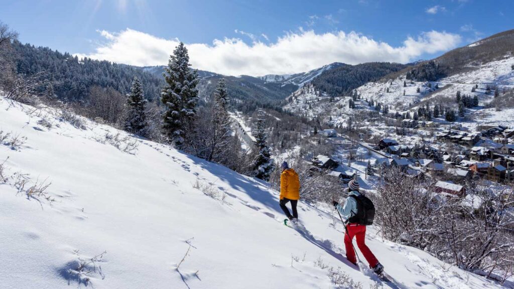 White Pine Touring Park City Snow Shoe