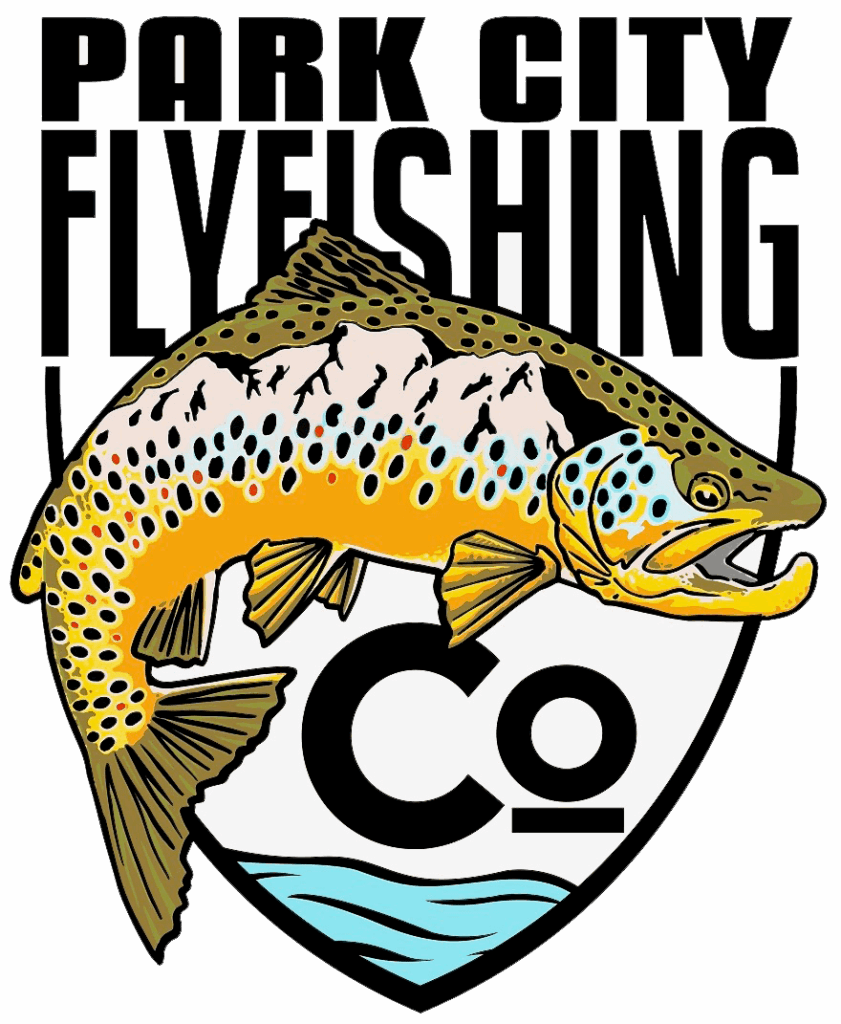 Park city flyfishing co