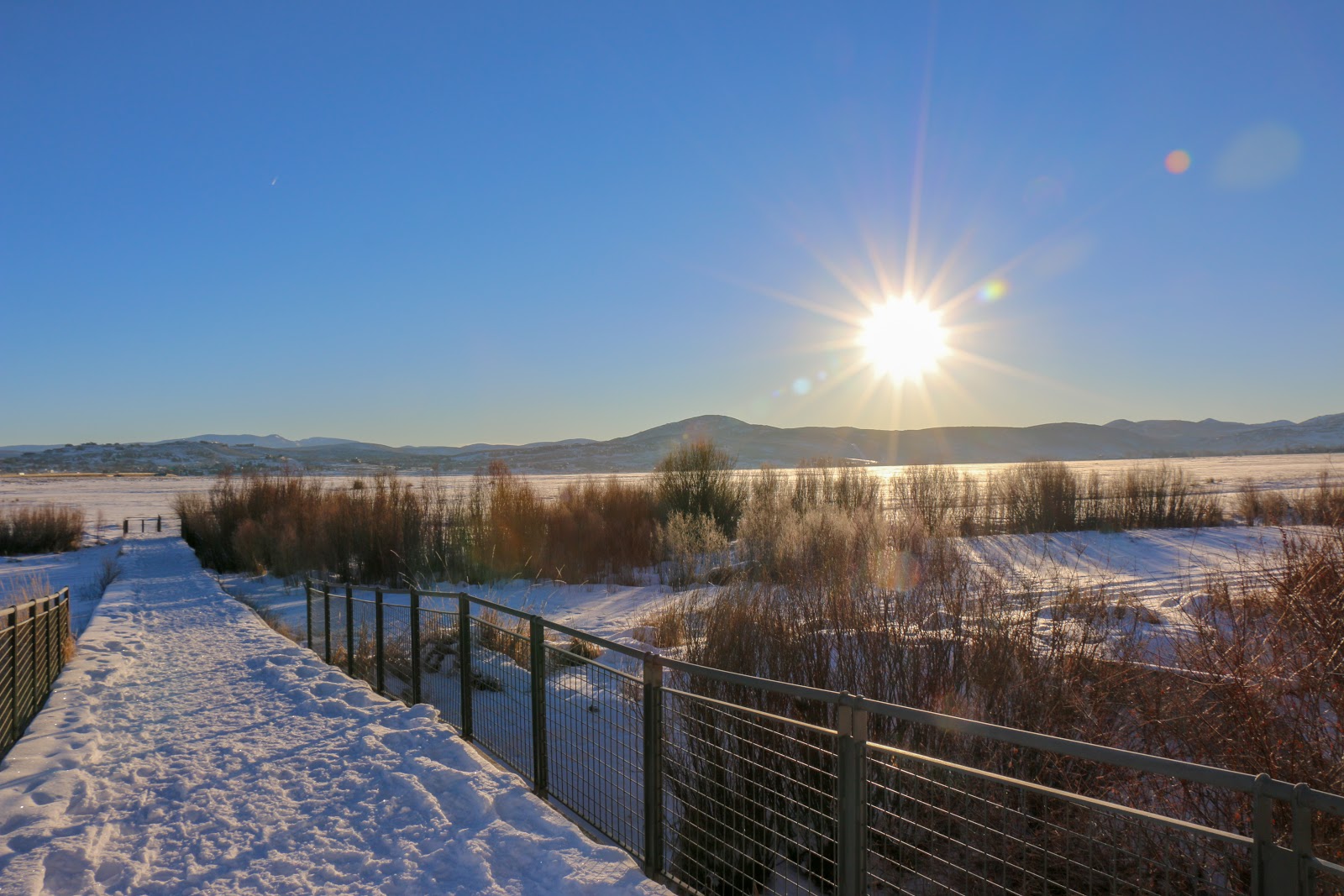 Swaner Nature Preserve – Park City area vacation rentals by Moose Management