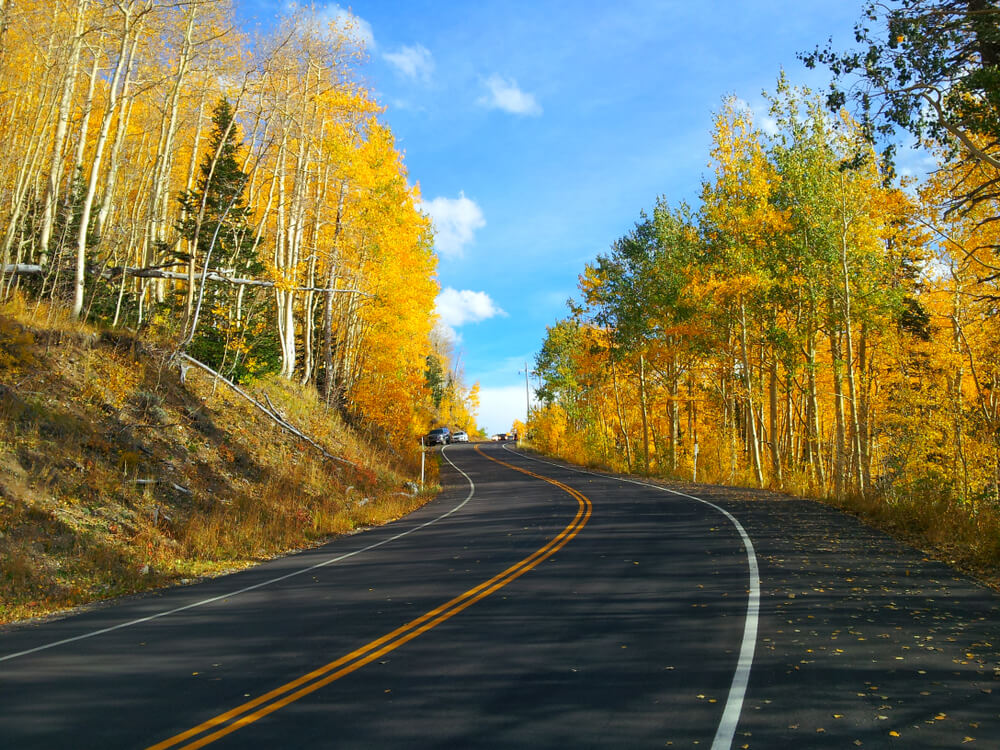 A Park City, Utah, road lined by fall foliage.